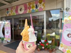 食後のデザート♡
ダブルカップで550円、券売機で現金購入。
選んだフレーバーは鳥取らしく梨と、期間限定の柿♪