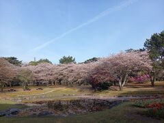 別府公園