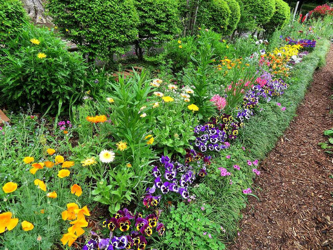 再び中央公園と体育館脇にある庭園へ。ボランティアがお世話している庭だが、桜を見に来たときに立ち寄った時よりも、一段ときれいな花が咲いていた。