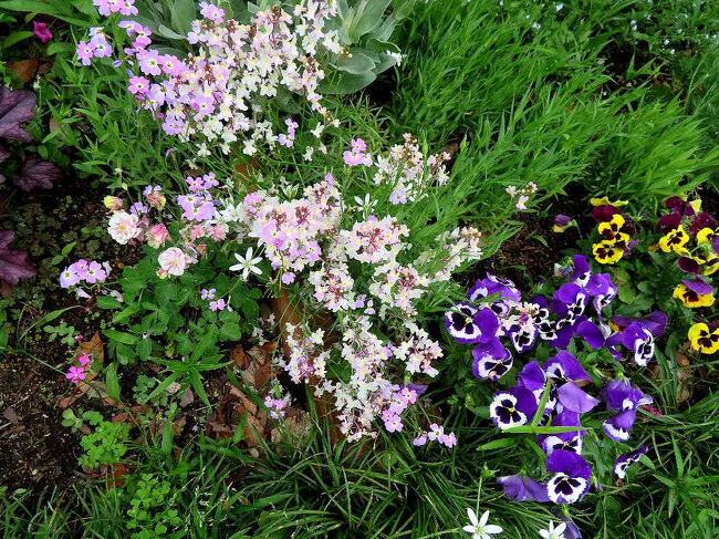 色の組み合わせがきれいだ。