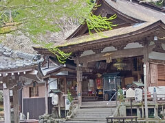 木々に囲まれた静かなお寺で「ぼけ封じ観音」に激しく反応…