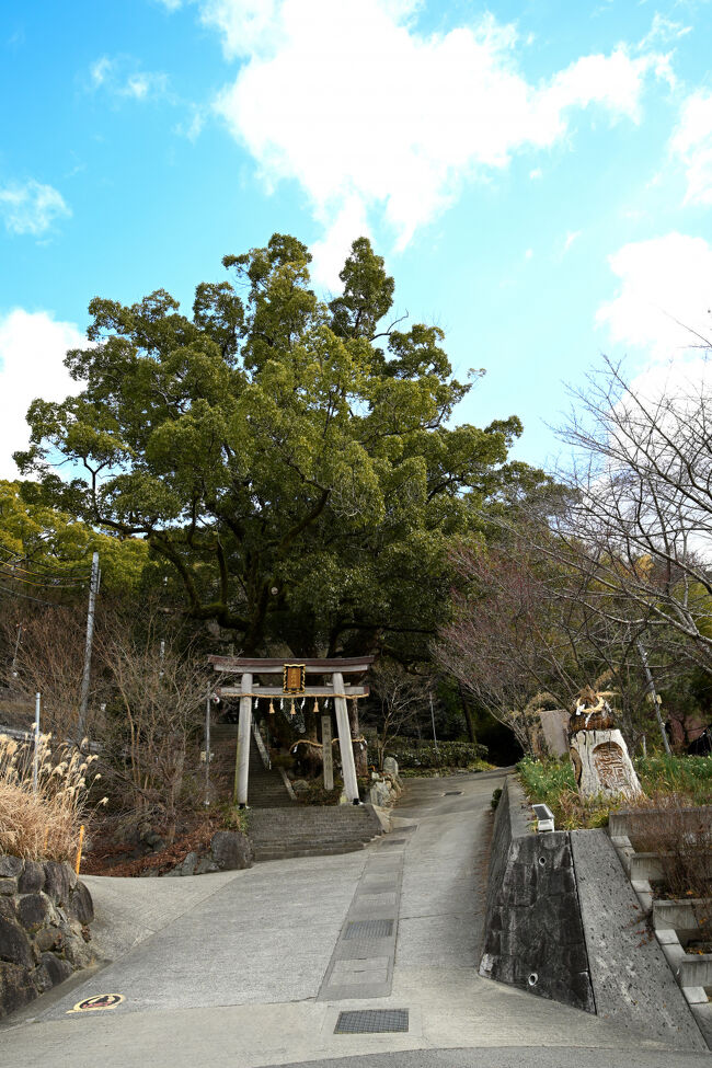 こちらが玉祖神社の参道になります。