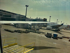 午前9時過ぎ、成田空港に到着しました。