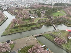 　エレベーターで展望台へ。桜、桜、桜を見たい♪公園が見える方へ一直線。
　星型の桜。雨の中咲いてます！