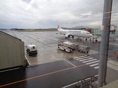 今回はJALを利用。まだ雨が降っていました。