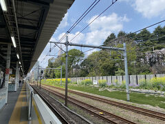千駄ヶ谷駅に着きました。
線路の奥では菜の花が咲いていました。