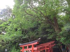 　本宮の正面左手に鎮座している丸山稲荷社の入口です。社殿は室町時代に建立されました。鶴岡八幡宮に現存する建物としては最も古いものだそうです。