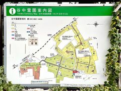 3月下旬。所変わって、谷中霊園。
何故、此方に来たかというと…
