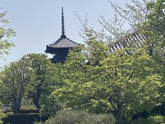 荷物を預かっていただいたら、ホテルから近い東寺に行きます。