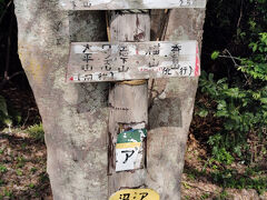 横山から45分ほどで徳倉山に到着。