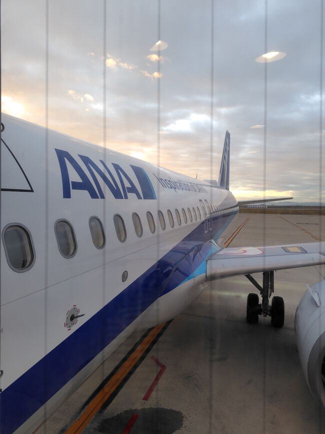 ついにパリ旅行の始まり～<br />ほんと久しぶりすぎてちょっとドキドキしてる。<br />まずは神戸7:05発の飛行機で羽田に向かいます。<br />空港には6:20頃に着いたのですが人も少なくチェックインは10分ほどで終了しました。<br />始発利用だと時間がギリでちょっと心配だったので念の為に三ノ宮に前泊したけど、これなら前泊しなくても余裕で間に合ったな。<br />預け荷物はシャルルドゴール空港でピックアップになります。