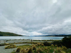 テカポ湖到着～