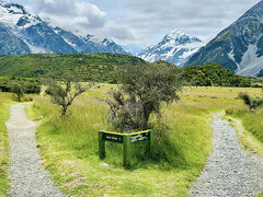キアポイントとフッカーズポイントとの分岐点、なめのマウントクック。
この辺までクックがよく見えます