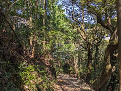 遍路道を延々と歩きます