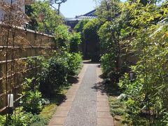 ずっと来てみたかった鏑木清方記念美術館。
新緑のお庭が美しい。
着物姿で座布団に膝をつき絵を描いている写真に、こんなふうにしてあんな美しい絵が…という感慨がありました。

