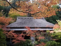 祇王寺のすぐ上の滝口寺
誰もいなくてとても静かです