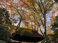 祇王寺に行きました