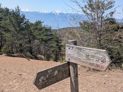 天女山頂に戻り、これから美しの森へ向かいます。

このハイキングコースを検索すると「美しの森から天女山」ばかりが出て来ます。つまり、そっちの方が歩きやすいって事ですよね。昨日の吐竜の滝にしても、北に在る東沢大橋から歩き始めると下りが多いって話だったし。
ですが、ピクニックバスのスケジュールの都合により、天女山から歩き始める事を余儀無くされました。
清泉寮から美しの森は距離こそ近いものの、バスの始発が10時55分なのです。