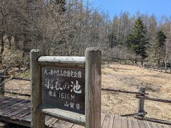 羽衣の池
標高1610mって、此処が一番高くね？
県営牧場から美しの森へ抜ける道(隣な感覚)に在ります