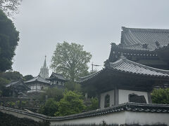 寺院と教会の見える風景 