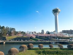 天気予報はあまりよくなかったのですが、キレイに晴れていて青空でした。風が強かったのですが、日差しは暖かかったです。