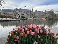 マウリッツハイス美術館へ
こちらはオランダの国会議事堂
その左隣にある