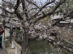 今橋