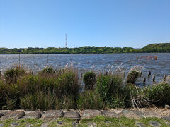 佐鳴湖です。水質をよくする装置がありました。風が強いです。