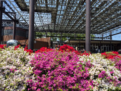 SUGAR HILL CAFE前のツツジです。