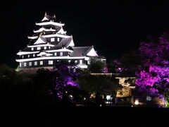 月見橋から観たライトアップされた岡山城