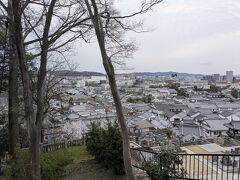 境内から見下ろす美観地区がなんか美しくて…