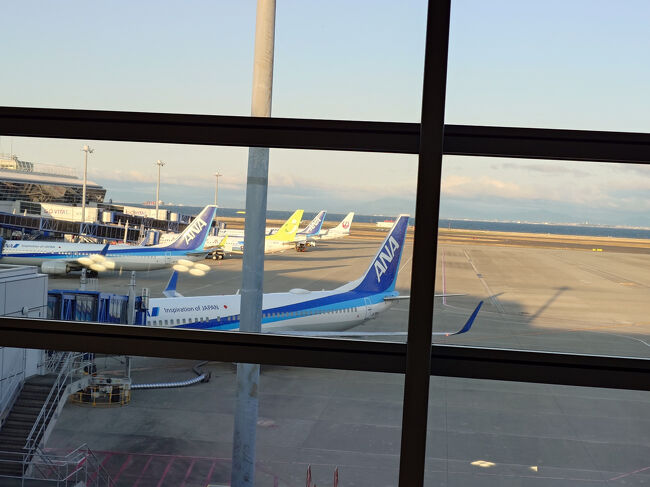 いつもどおりセントレア→羽田へ