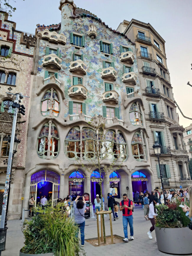 夜２０時でも明かるいので、カサミラを見ます。<br />今回はみるだけ。