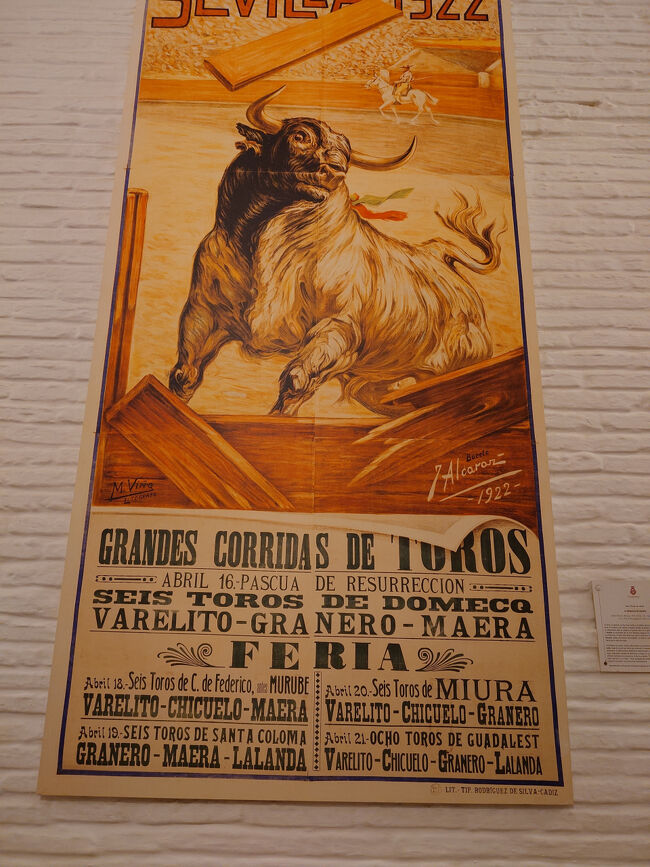 午前はセビリア闘牛場へ行きました