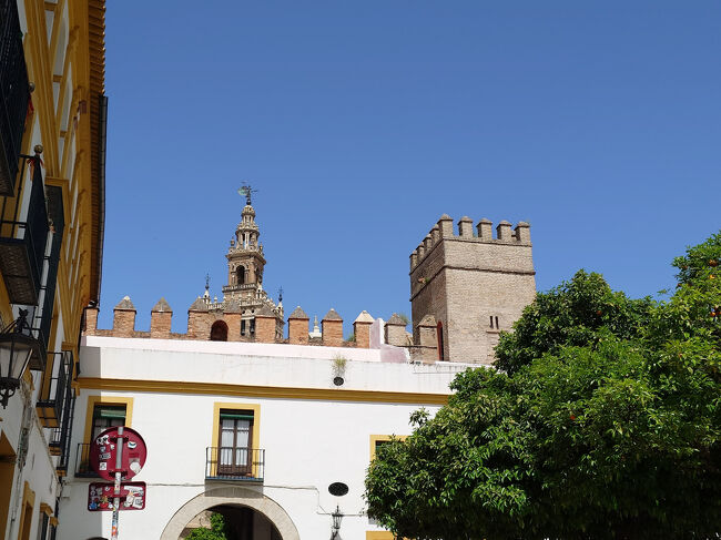 アルカサルに行ったけど、チケットソールドアウト。これは見たかったな。<br />ネットで買えなかったから当日券に期待したけどダメでした。<br />アルハンブラ宮殿に似た雰囲気ということでアルハンブラ宮殿はやめたけど、行けばよかったです。