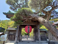 鎌倉大仏から歩いて長谷寺に行きました。
