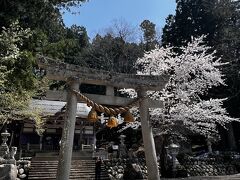 であい橋から10分ほどにある白川八幡神社。
桜があちこちにまだ残っていて
風が吹くたびに
桜吹雪となって降り注ぎます。