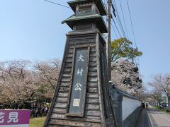 大村公園の入り口はバス停のすぐ近くです。桜の時期だったので開花情報の看板もありました。
