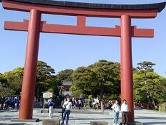 鳥居をくぐり鶴岡八幡宮でお参りします。