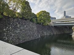 東京駅で下車。
明日は雨が降りそうなので、桜を見ておく。