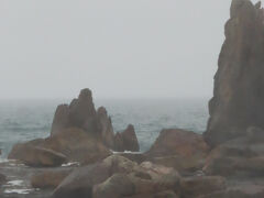 　ここからは紀伊半島の東側を北上します。潮岬から10キロほど走ったところに奇観で知られる橋杭岩があります。道の駅の駐車場からすぐの所なので、雨の中ではありましたが、車を降りて見学しました。