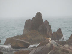 　橋杭岩を背景にしたサギらしき鳥の写真です。
　この後、途中で那智勝浦新宮道路を利用して新宮へ入りました。この日の宿泊はホテルニューパレスです。こぢんまりしたビジネスホテルですが、快適でした。

