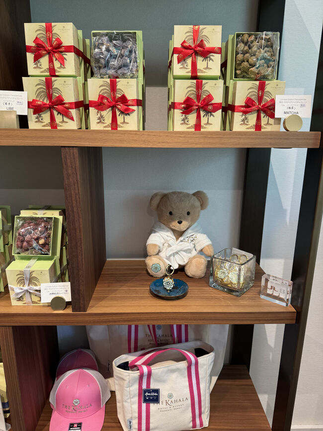 美ら海ハワイページ おすそ分けファイル 立ち上がる蛇腹&ポケット バインダーおすそ分けファイル | Kami