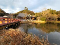 中之島から平橋、金堂、と背後の金沢山の眺め。
池の鯉が餌に群がって来ます。現在は鯉の餌は境内では販売されていません。