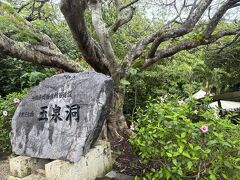 東洋一と言われる玉泉洞。
楽しみにしてたんだ！