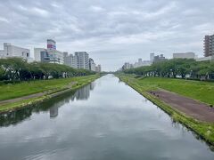 桜川のサクラ