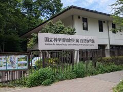 みどりの日は自然教育園の入園料は無料です。