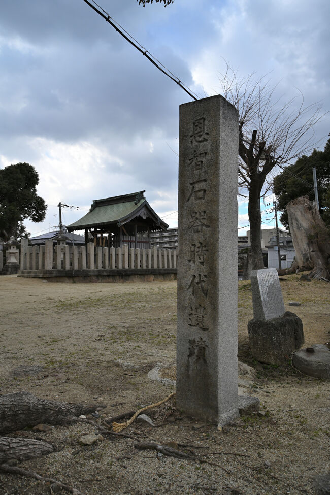 恩智神社のお旅所である天王の森に「恩智 石器時代遺跡」の石碑が立っています。<br /><br />この付近一帯は府下でも有名な弥生時代の遺跡で、著名な考古学者たちによって古くから行われてきた調査の結果、縄文時代から弥生時代の土器や石器などの遺物が多数出土したことから、弥生時代中期を中心とした集落が広がっていたと考えられています。