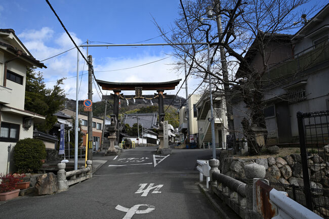 恩智神社参道の鳥居。