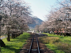 桜の名所・谷汲口(たにぐみぐち)駅。